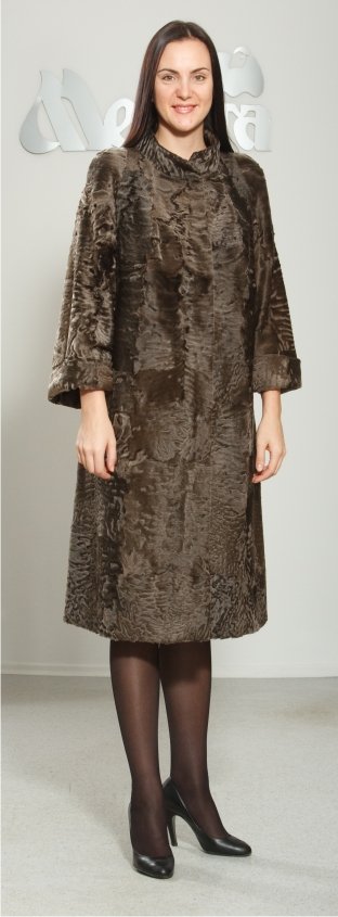 Модель ЛОН345