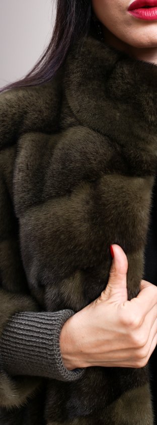 Модель ЛОТ223