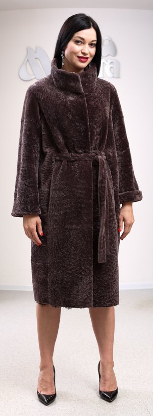 Модель ЛОТ105