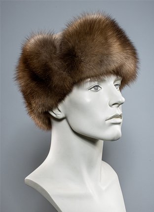 Модель 15343