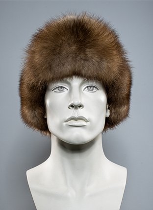 Модель 15343